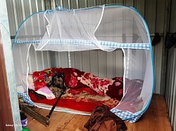Mosquito net in Tiny House on Mount 41 (December 9, 2024).