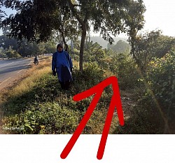 Entrance of Mount 41 (Not yet create).
