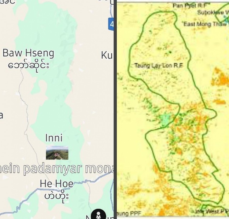 Taunglaylone Forest Map.