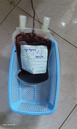 37th Blood Donation, 2/700, Aungpann, Southern Shan.