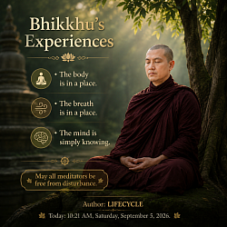 BHIKKHU'S EXPERIENCES