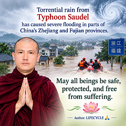 May all beings be safe, protected, and free from suffering.